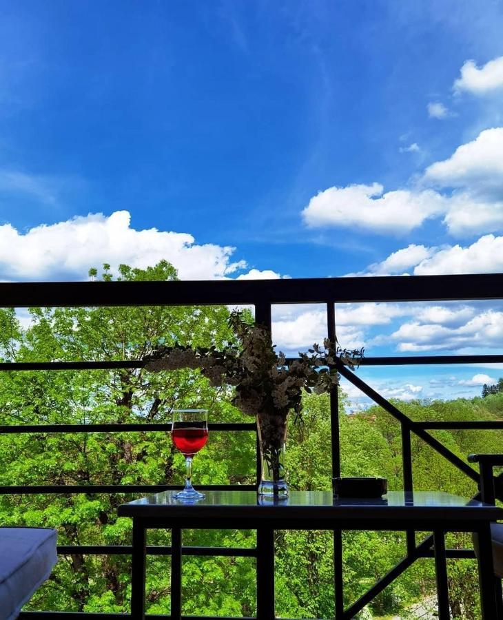 Apartman Crown Vrnjačka Banja Exteriör bild