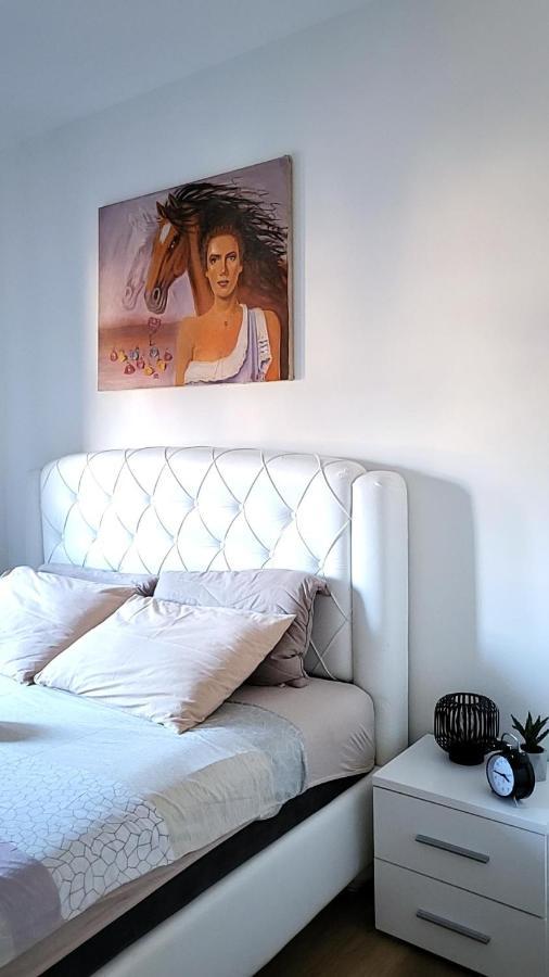 Apartman Crown Vrnjačka Banja Exteriör bild